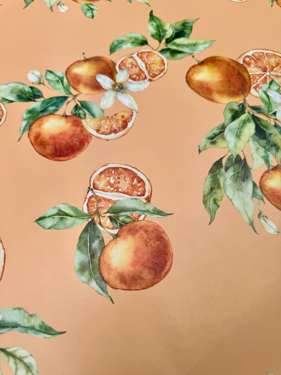 Sun-Kissed Citrus