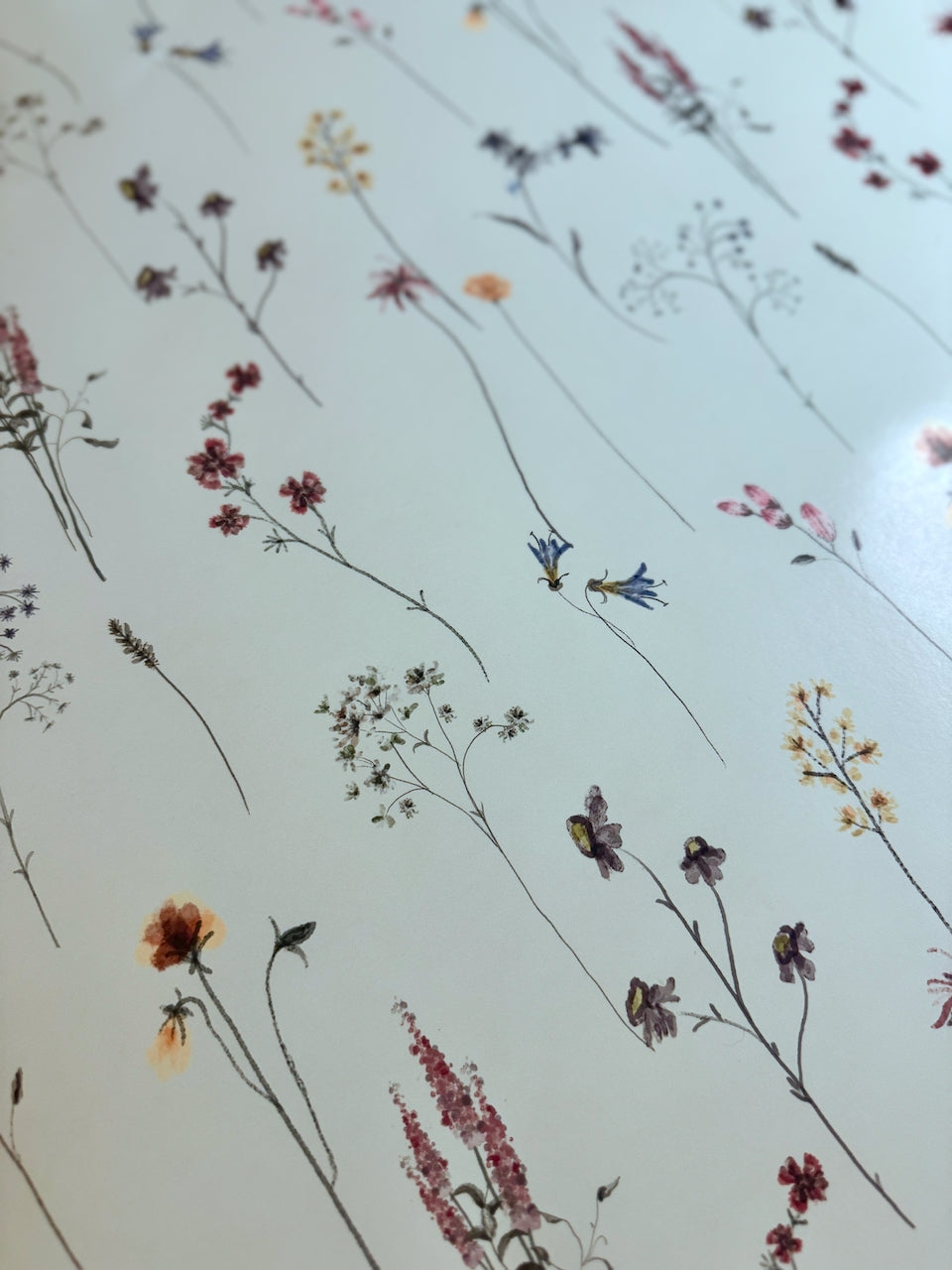 Garden Scatter