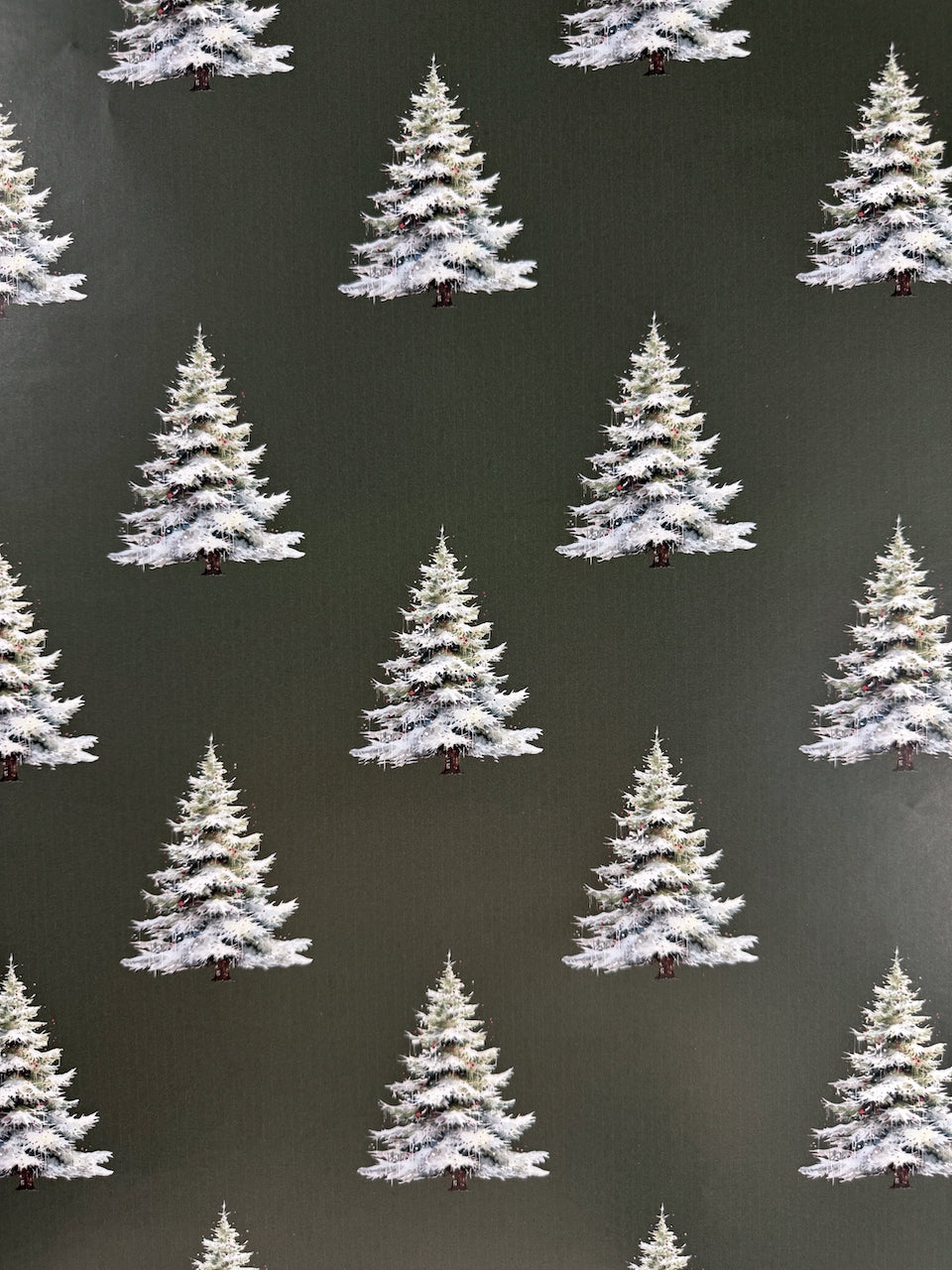 Clean Girl Evergreen