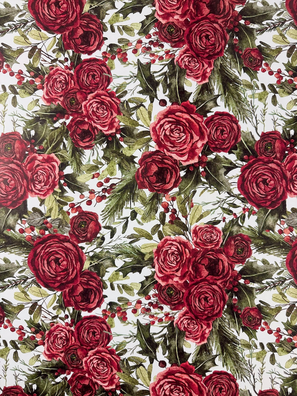 Yuletide Rose