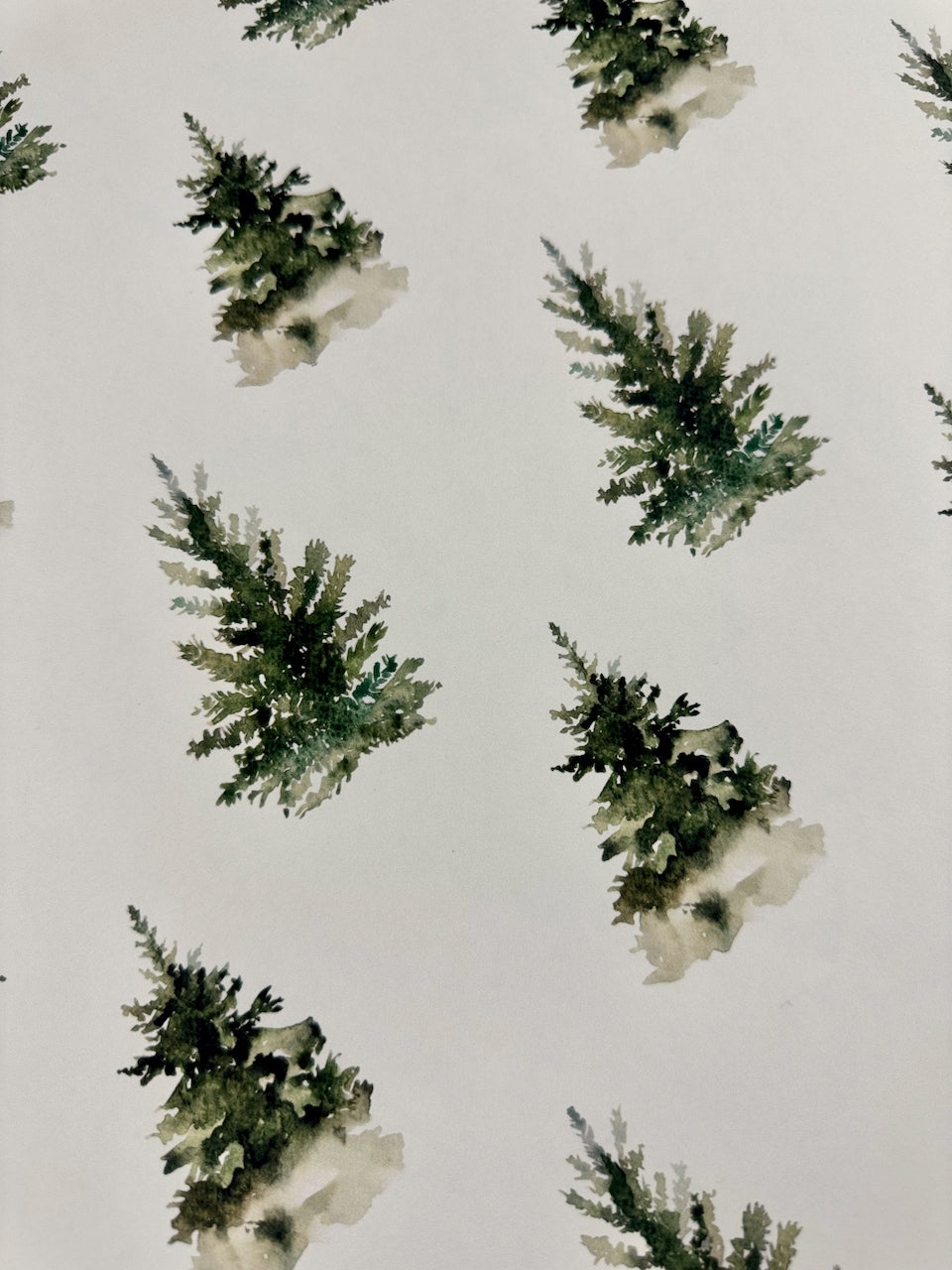 Winter Forest
