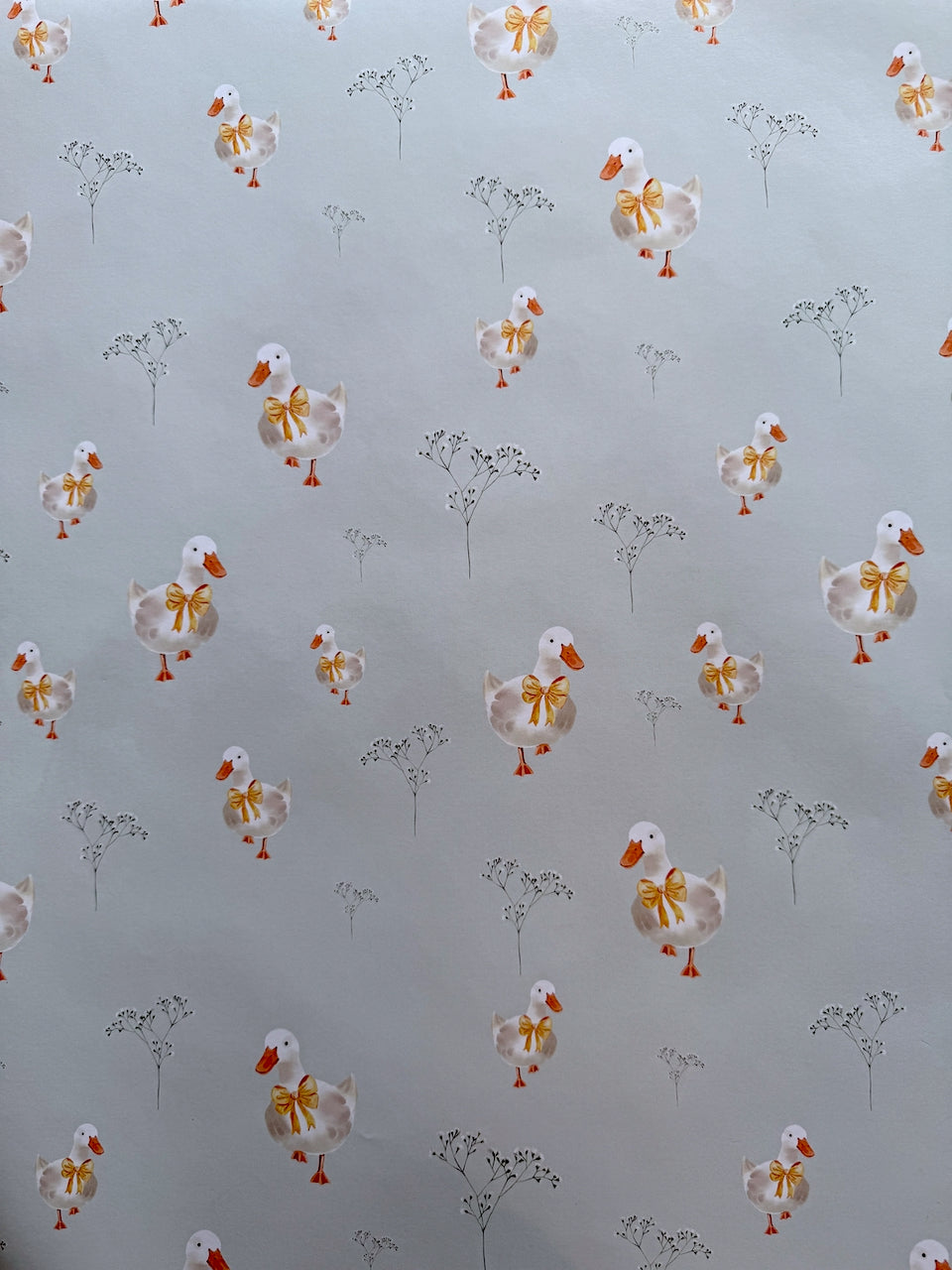Ducky Daydreams
