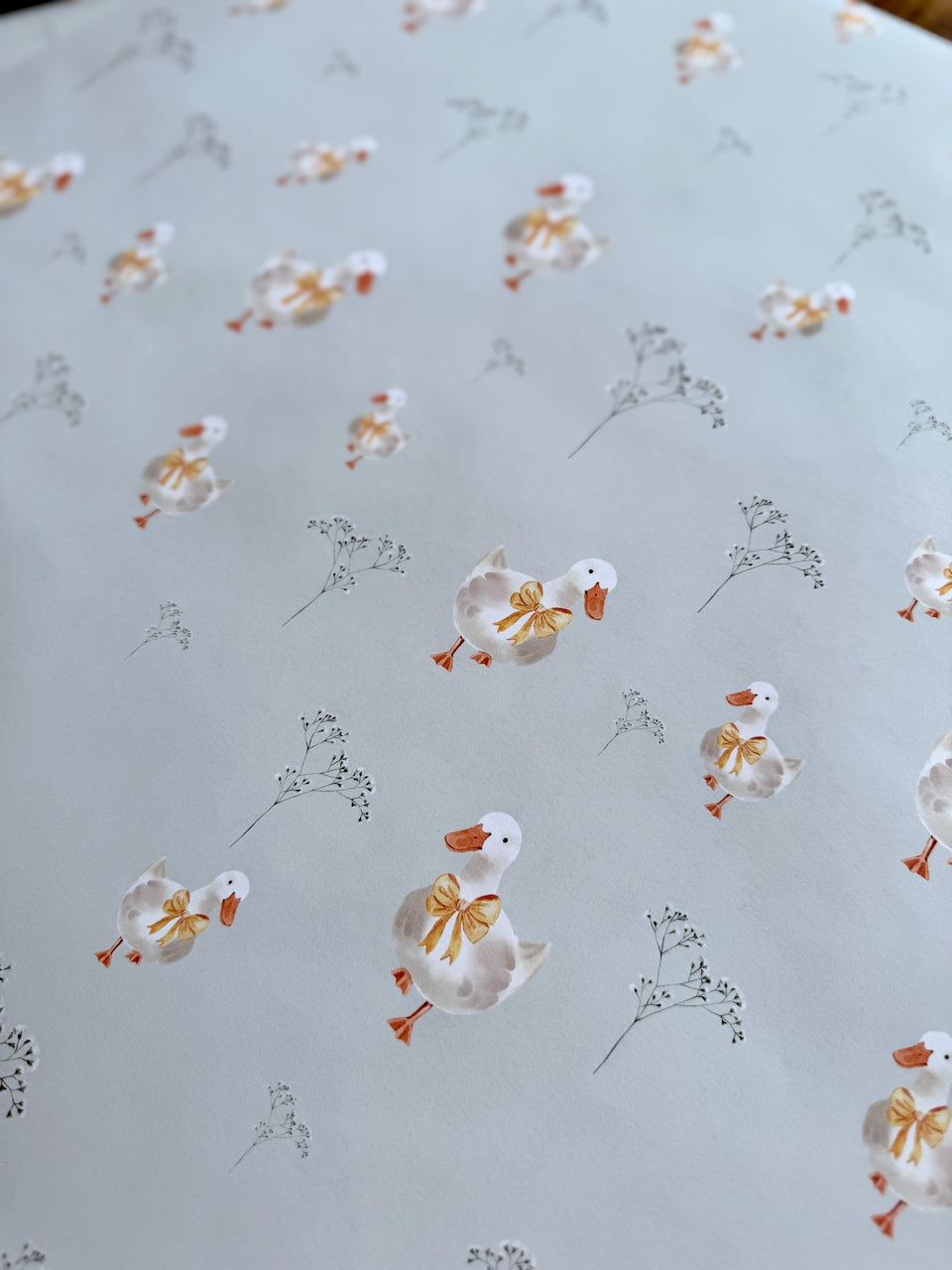 Ducky Daydreams