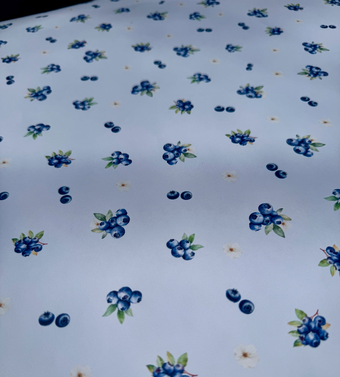 Mini Blueberry Farm