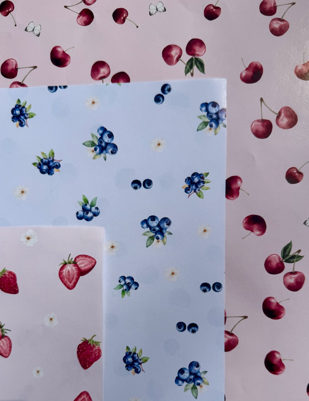 Mini Blueberry Farm