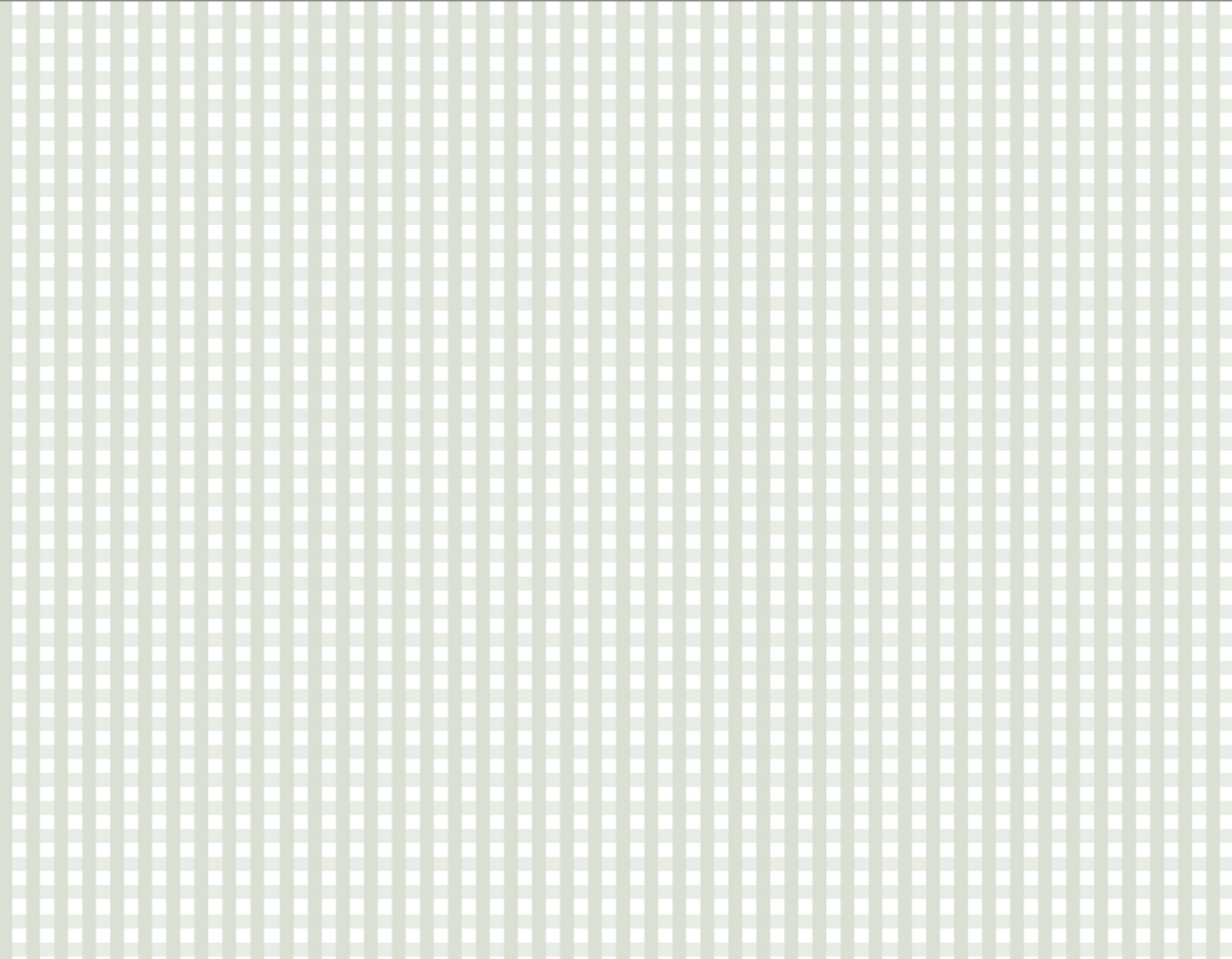 Clean Girl Gingham