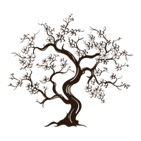A single, continuous scene