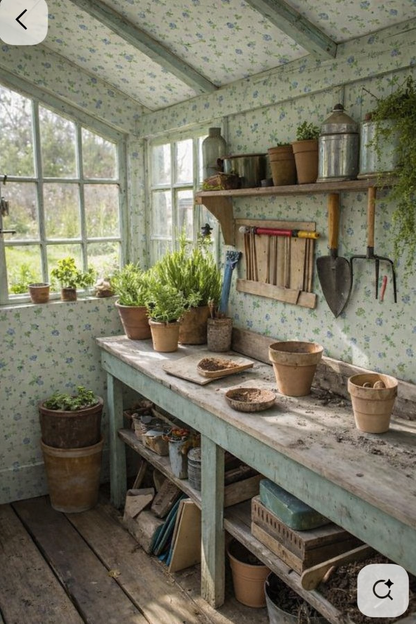 Greenhouse Morning
