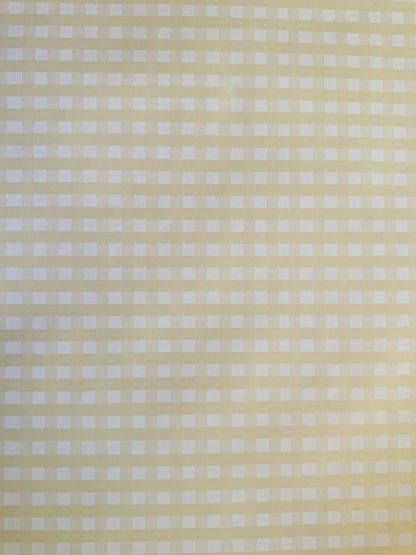 Sunny Gingham