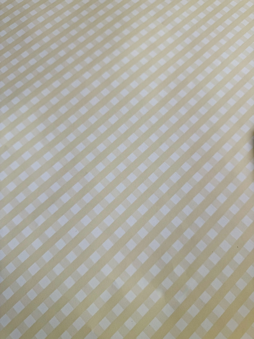 Sunny Gingham