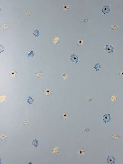 April Scatter