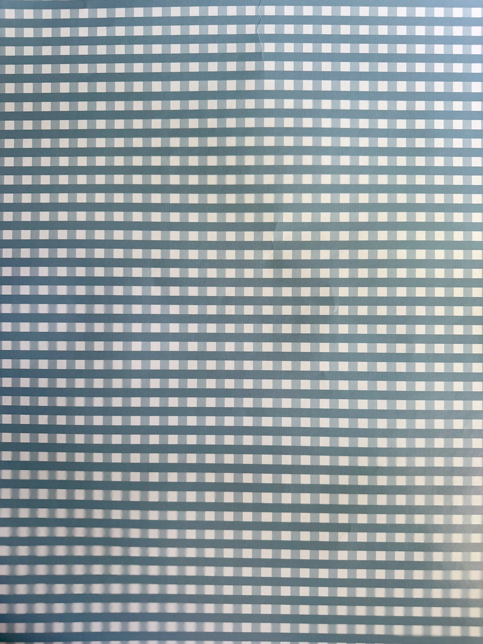 Blue Gingham