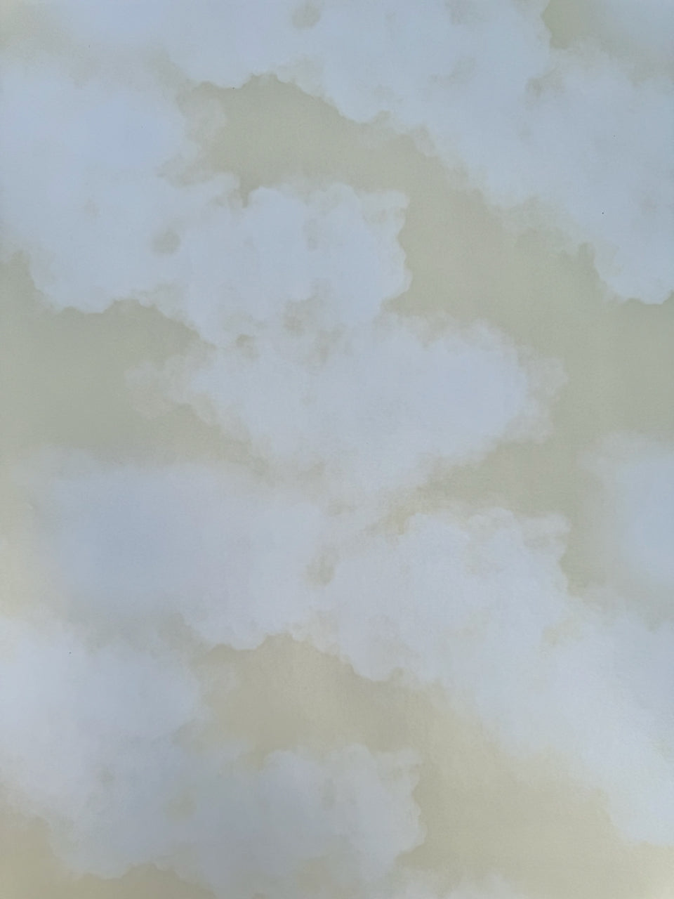 Sunny Skies