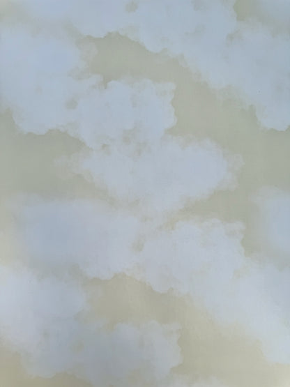 Sunny Skies