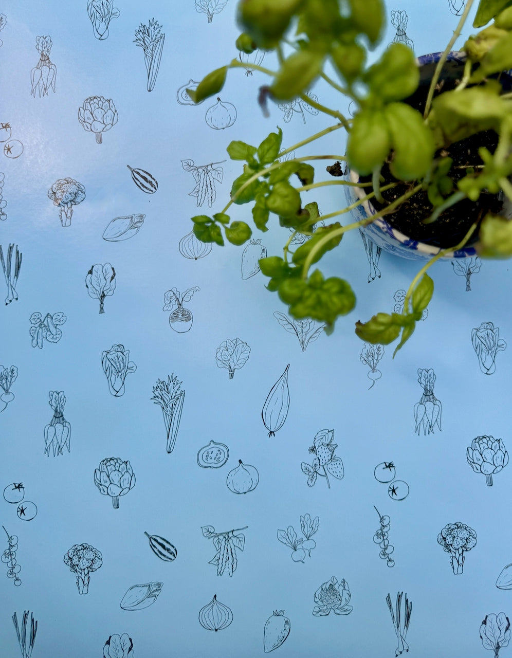 Jess' Garden
