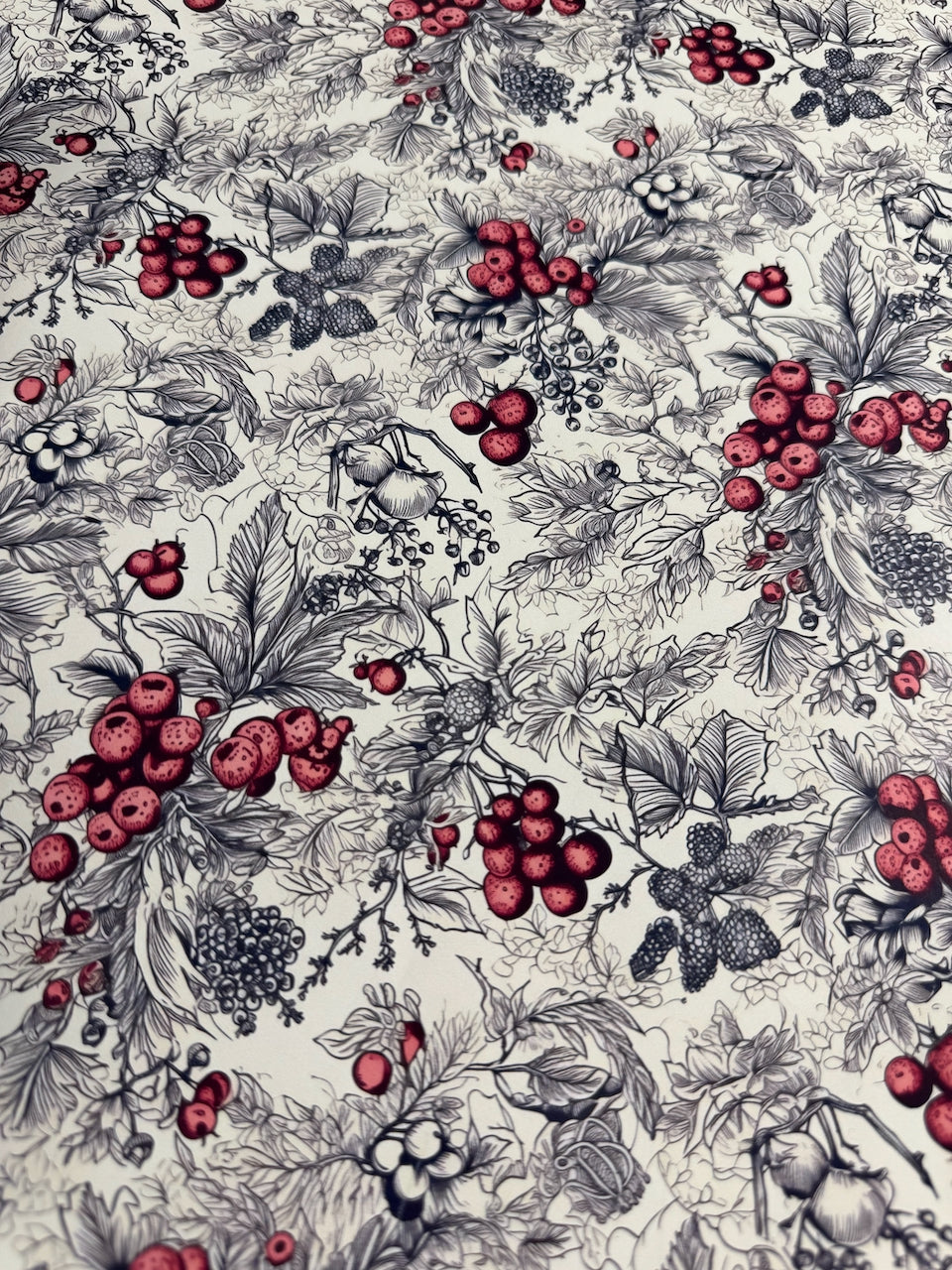 Winter Berry Toile