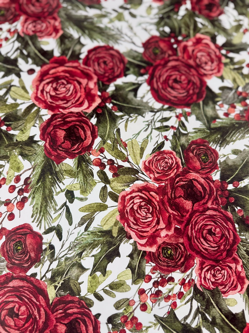 Yuletide Rose