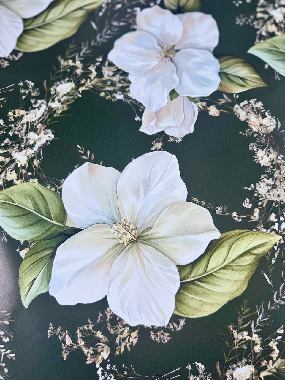 Winter Magnolia