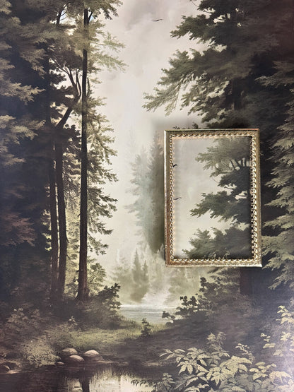 Echoes in the Forest