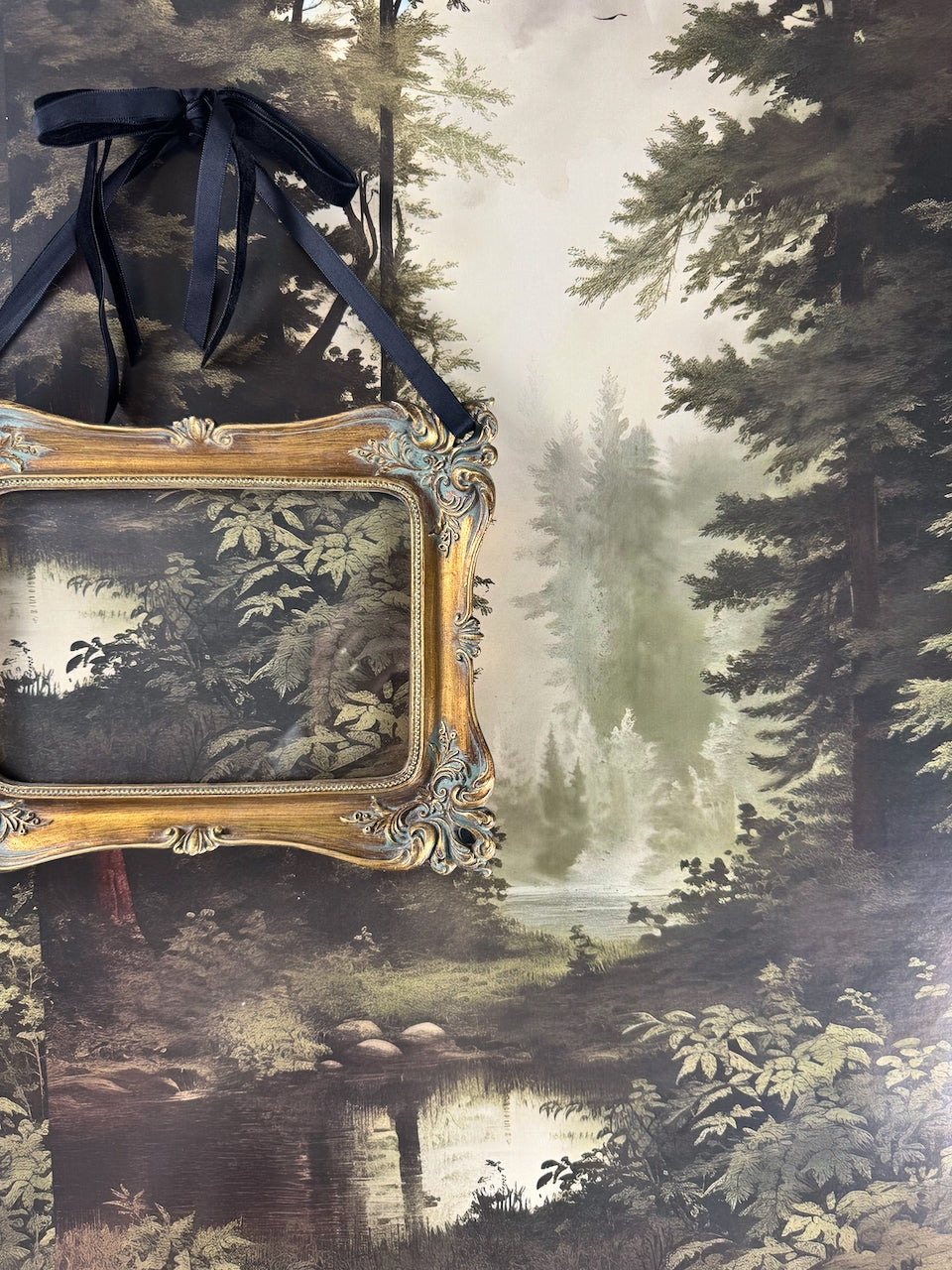 Echoes in the Forest