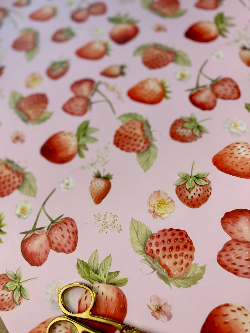 Countryside Strawberry