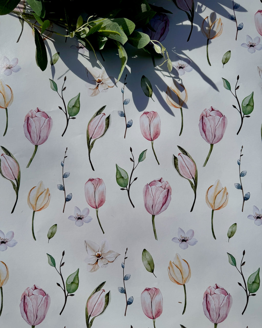 Tulips in Bloom