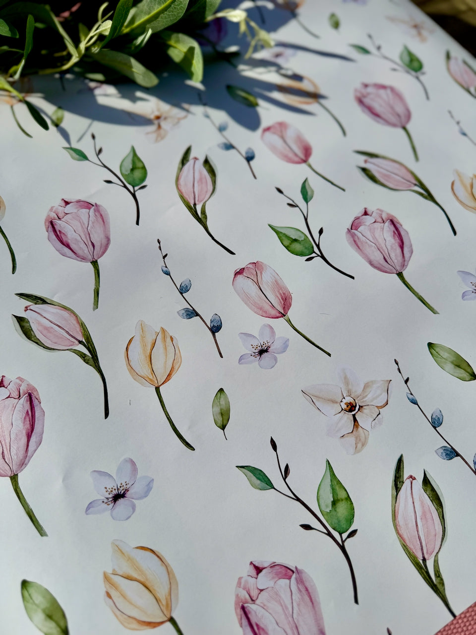 Tulips in Bloom