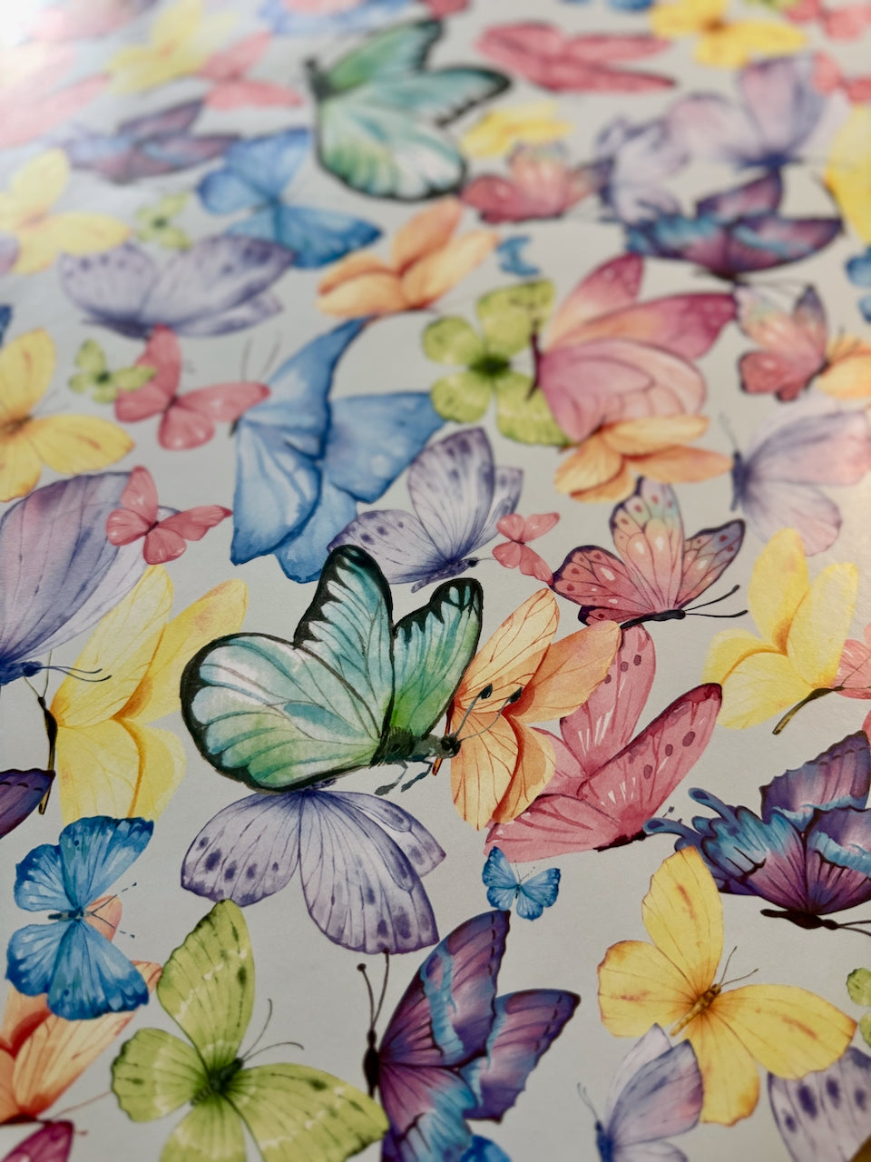 A Joly Butterfly