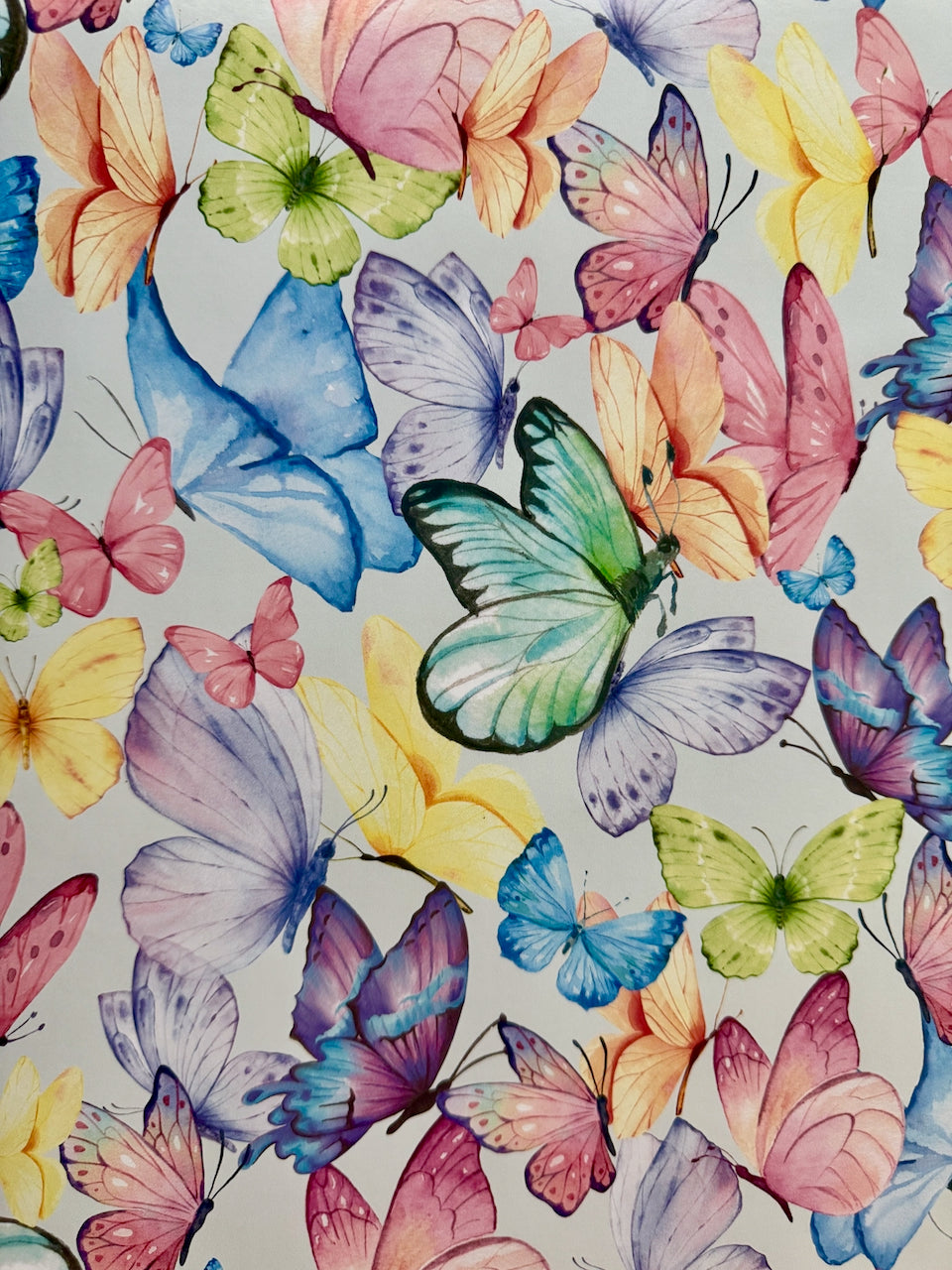 Joly Butterfly