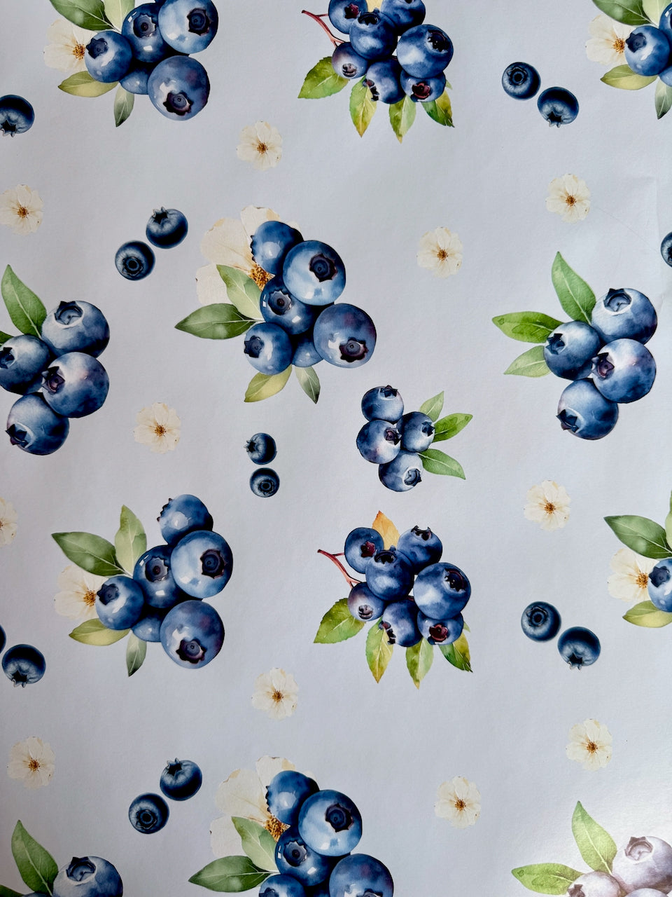 Blueberry Bliss
