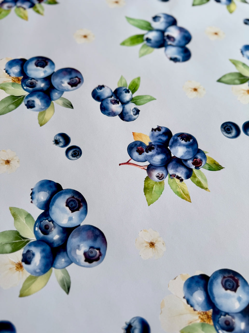 Blueberry Bliss