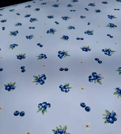Mini Blueberry Farm