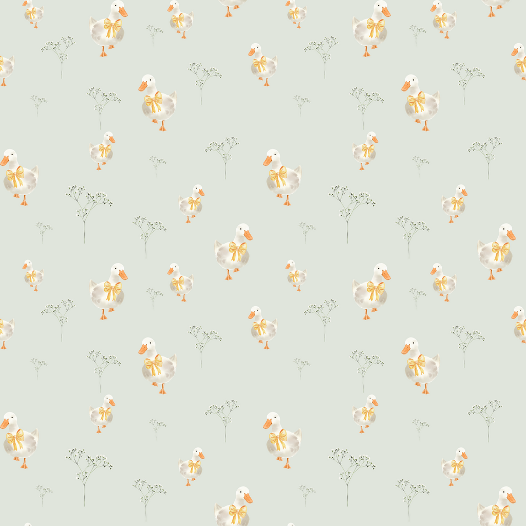 Ducky Daydreams