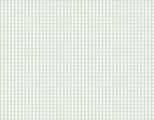Clean Girl Gingham
