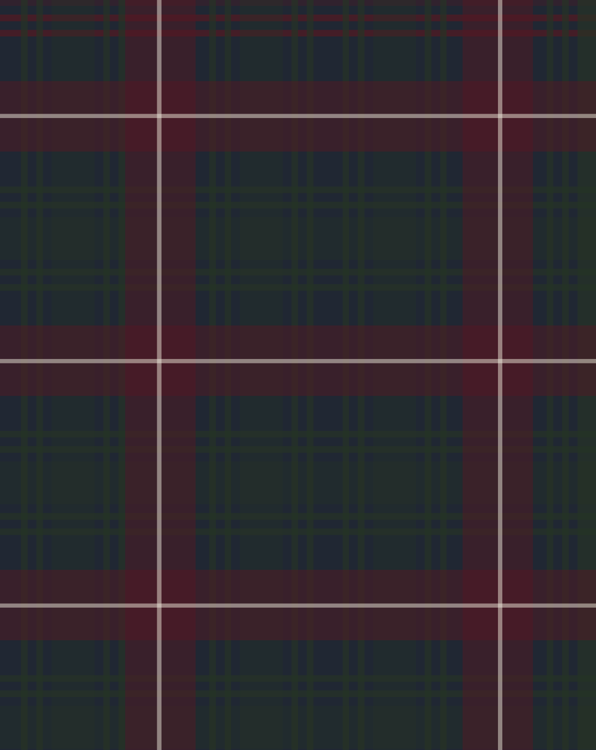 Ralph Lauren (Inspired) Plaid