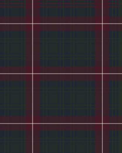 Ralph Lauren (Inspired) Plaid