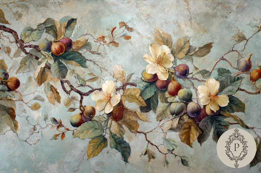 Tuscan Fig